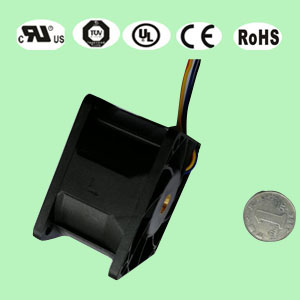 6038ɢ���L(f��ng)��